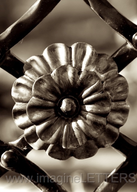 Wall_Art_Alphabet_Photography_Art_ 1601.jpg